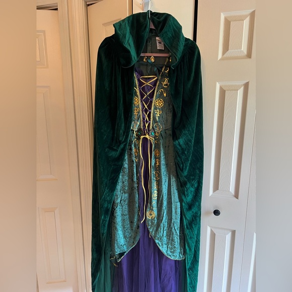 Winifred Sanderson Hocus Pocus Halloween Costume Adult Medium - Picture 11 of 16